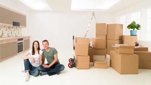 Local driver helping with boxes and furniture in central London